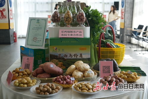安定大地展新顏 從黃土高原到小康生活的金色蛻變
